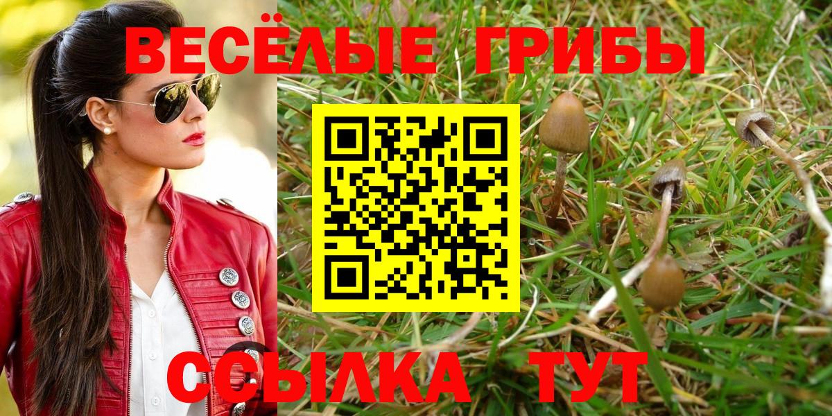 Псилоцибиновые грибы прущие грибы Гусь-Хрустальный